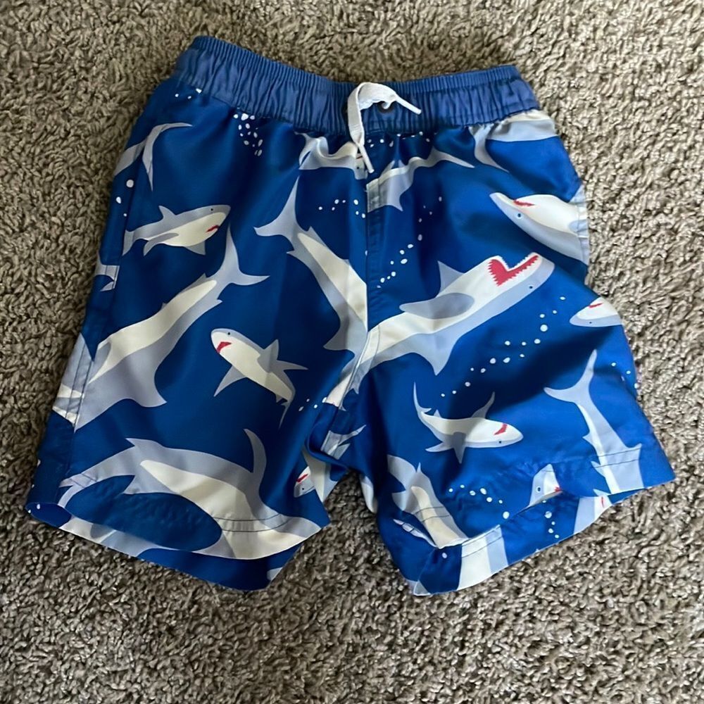 Hanna Andersson Swim Trunks